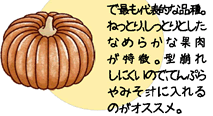「日本かぼちゃ」の中で最も代表的な品種。ねっとり、しっとりとしたなめらかな果肉が特徴。型崩れしにくいので、てんぷらやみそ汁に入れるのがオススメ。